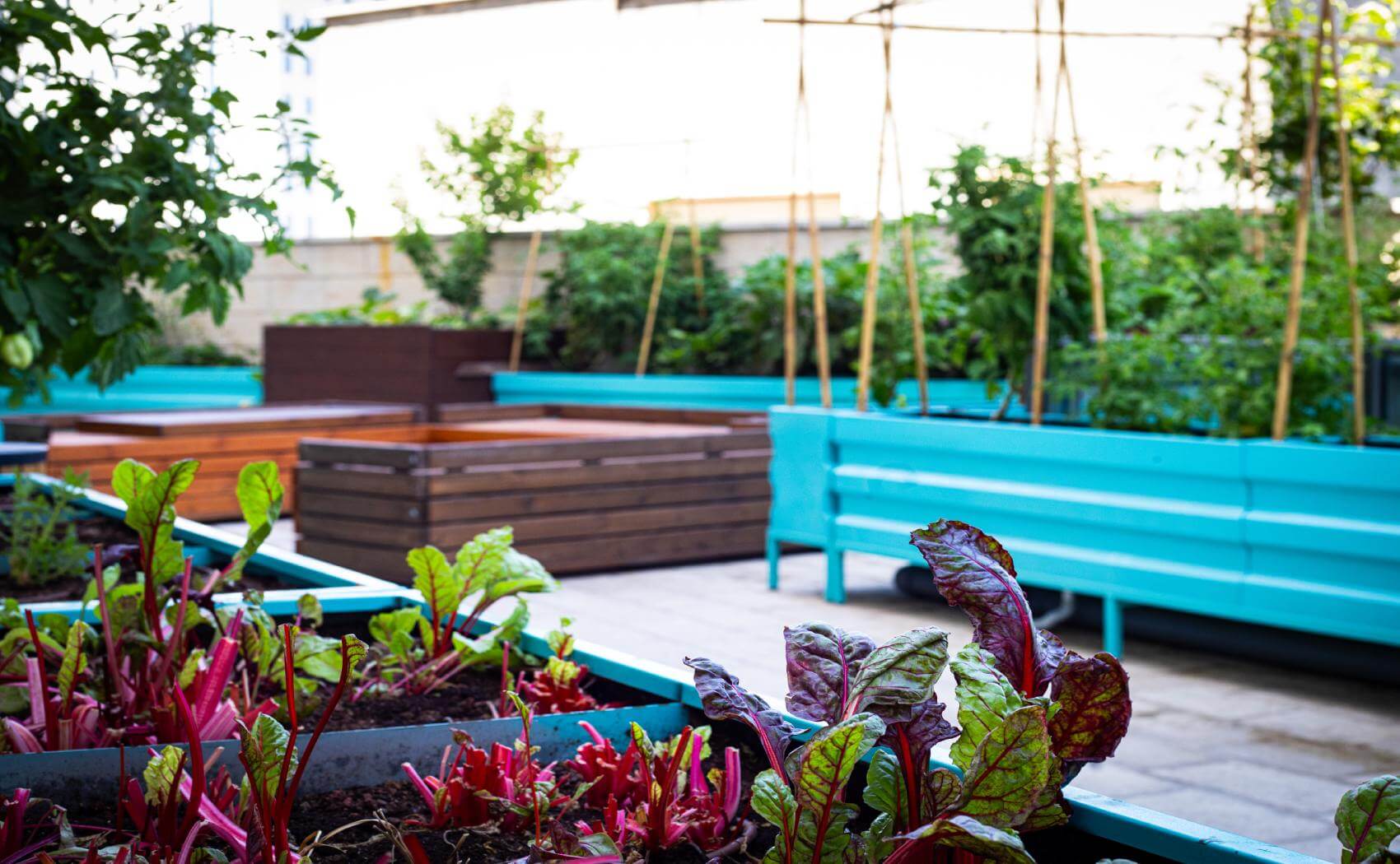 Ramada Olivie Hotel - Garden