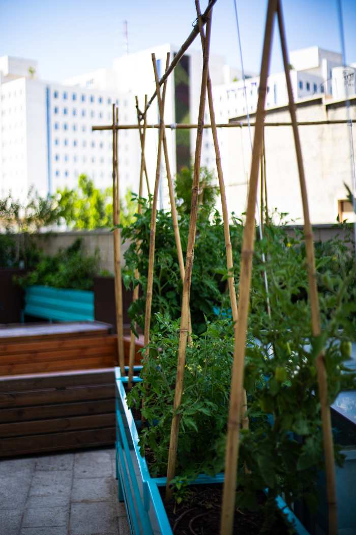 Ramada Olivie Hotel - Garden