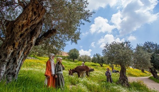 מלון רמדה -כניסיית הבשורה